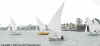 2001L14Fleet1Champs1.jpg (32143 bytes)